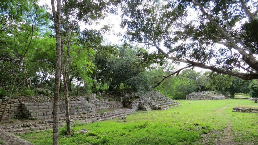 YAXUNAH