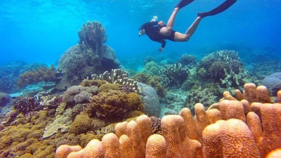 ISLAND HOPPING & SNORKELING EXPERIENCE