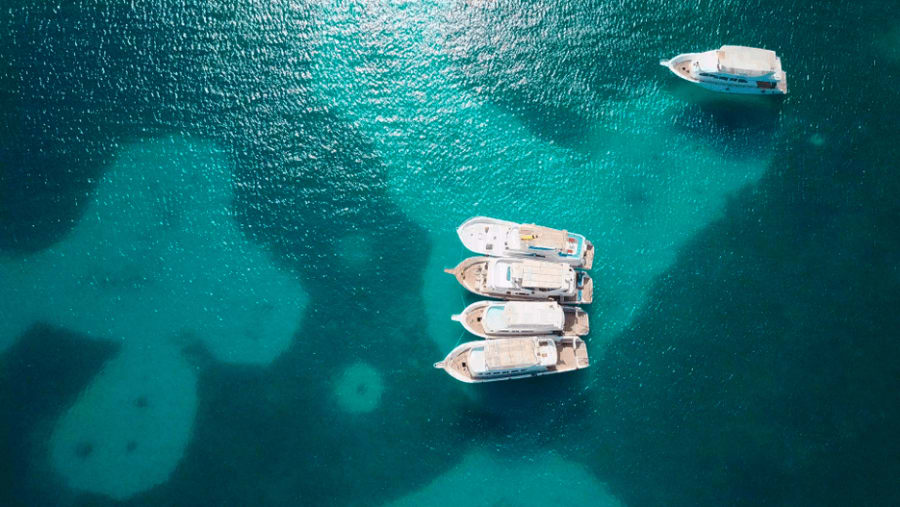 Red Sea