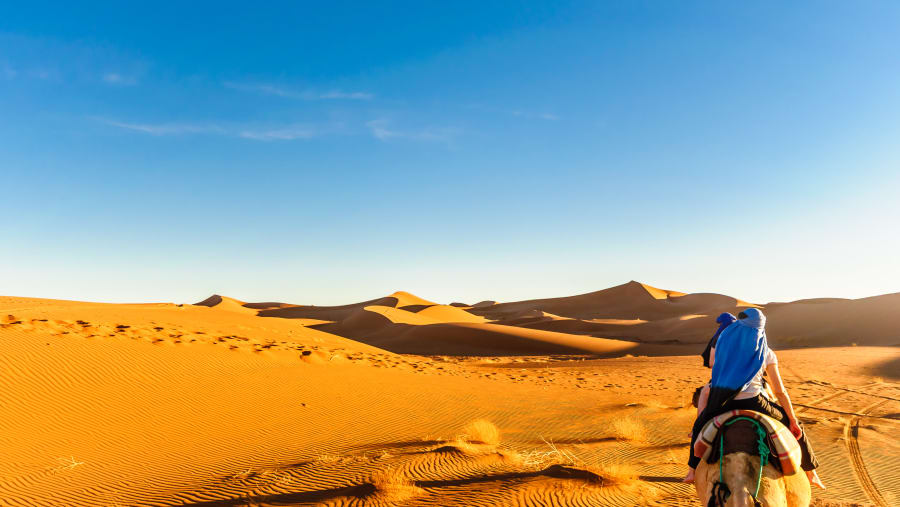 Camel Ride in the Desert