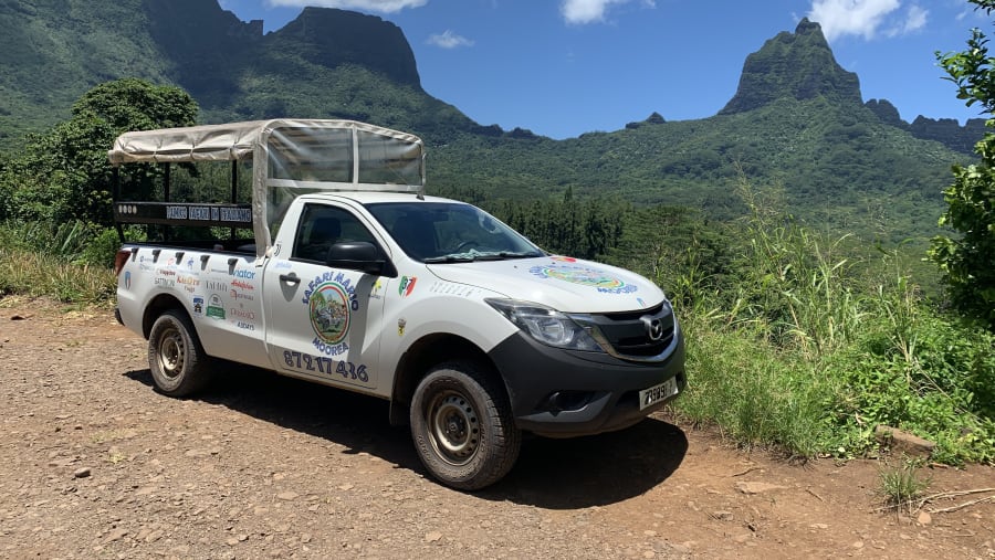 Enjoy the jeep safari