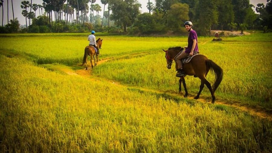 Horse Riding