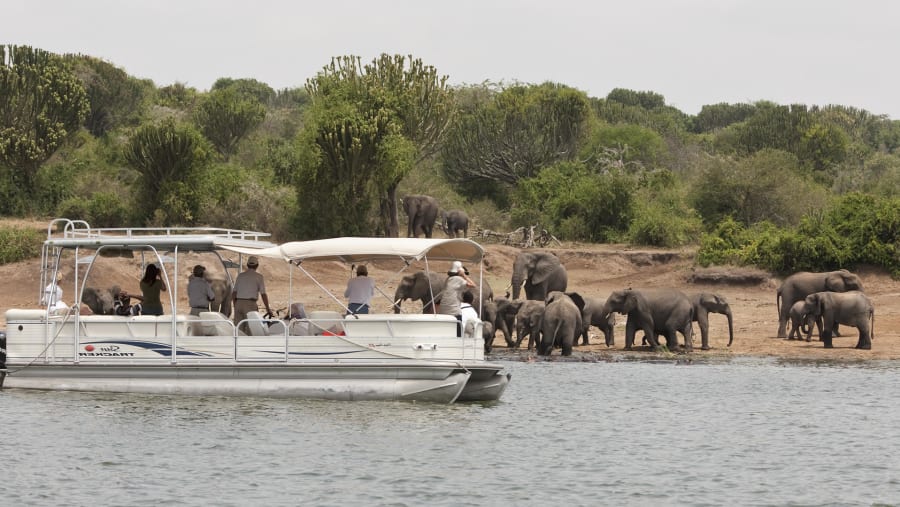 Boat Cruise at Kazinga Channel - Queen Elizabeth National Park