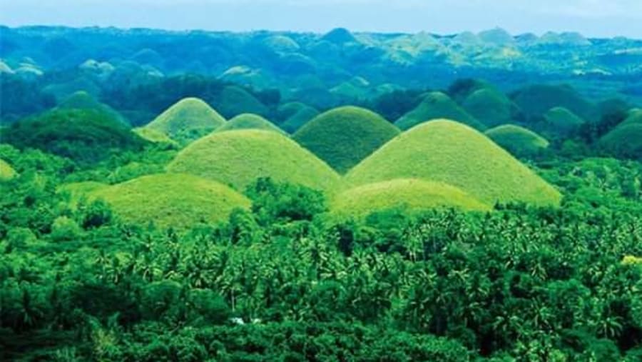 Chocolate hills