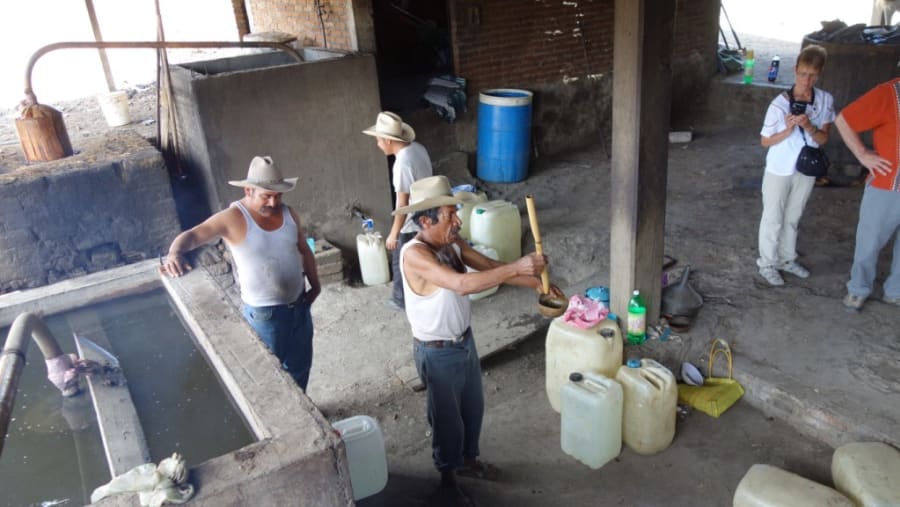 Oaxaca Mezcal Tour