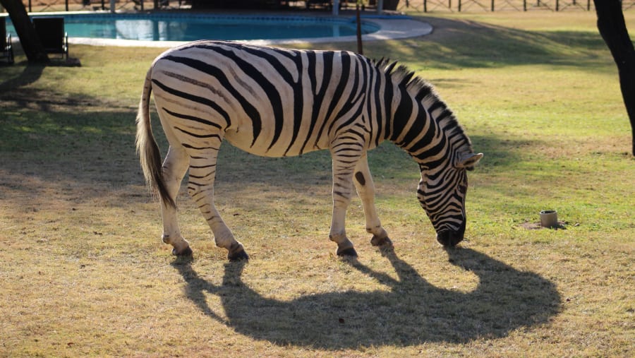 Dinokeng Private Game Reserve