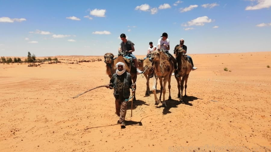 Camel Safari in Tunisia