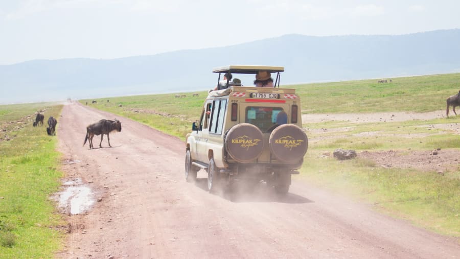 Ngorongoro Crater
