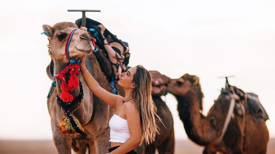 Zagora Desert
