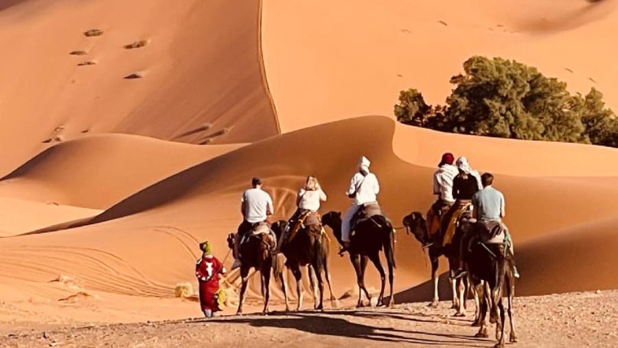 Camel Ride in the Desert