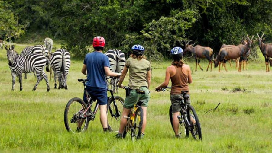 Lake Mburo Safari