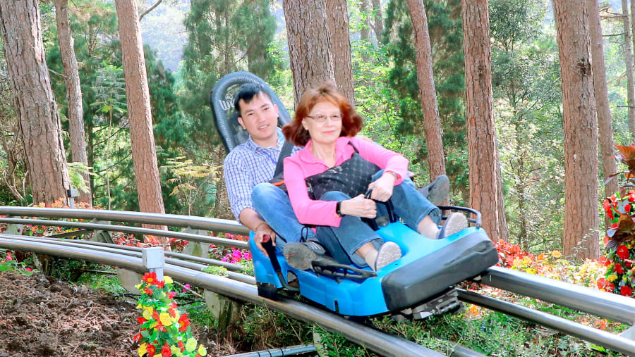 Alpine Coaster Ride
