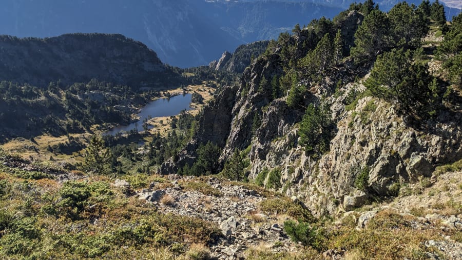 Mountain birdwatching in Chamrouse highlights