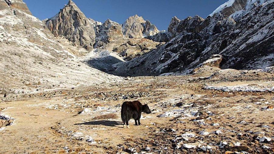 Scenic Landscapes