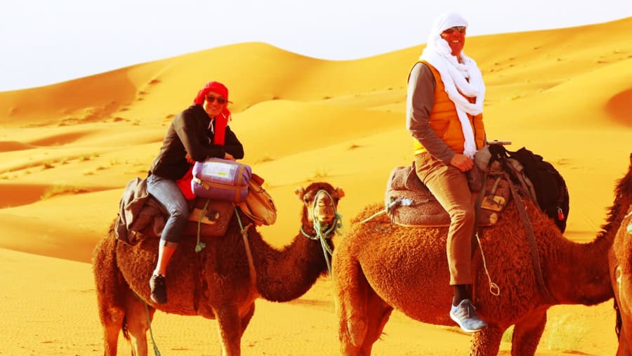Camel Ride