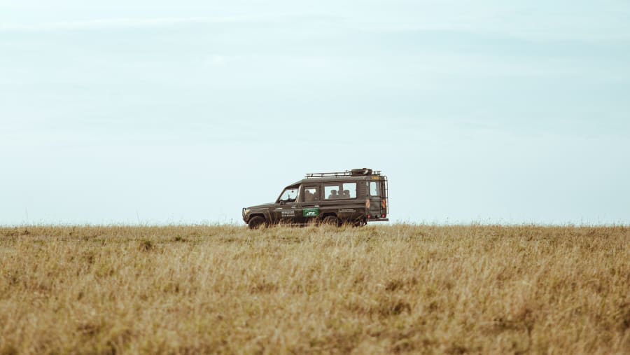 Embark on a fun filled safari