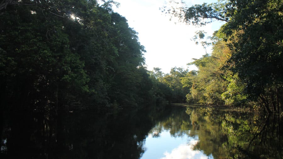 Yarapa River