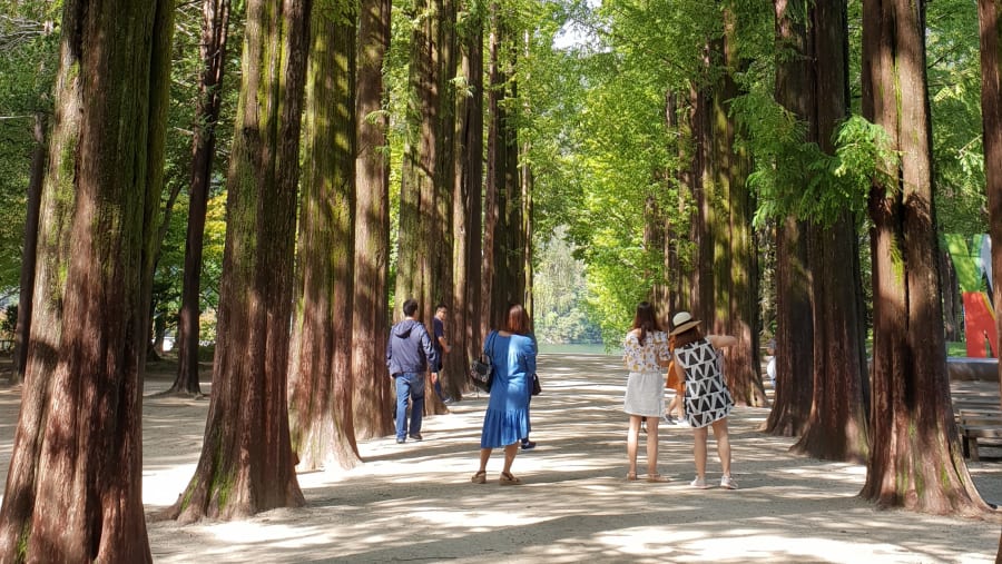 Enjoy the walk!