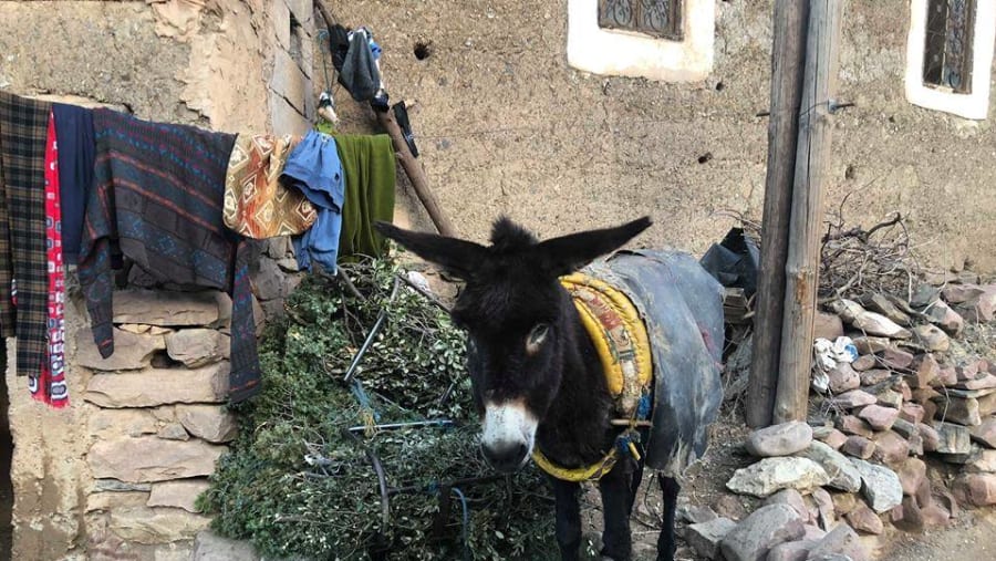 Marrakech Village