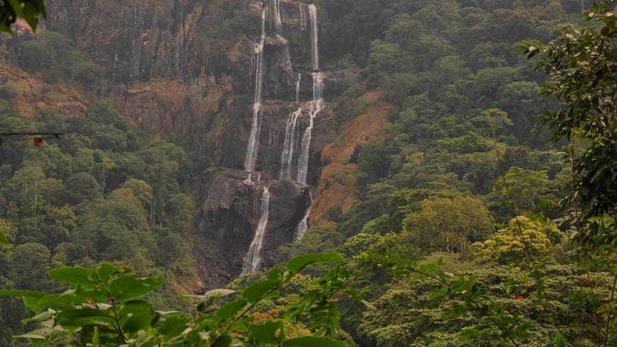 Udzungwa Mountains National Park