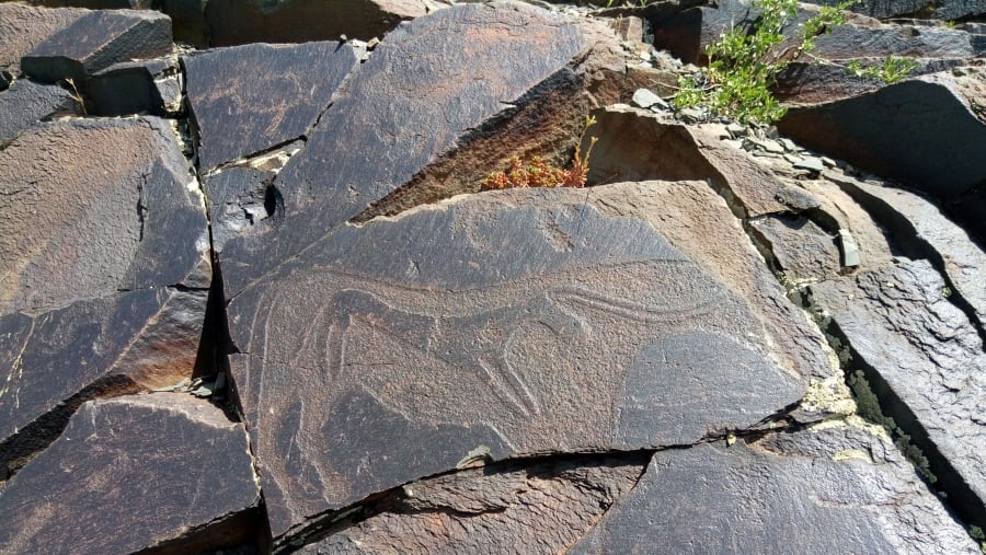 Petroglyph