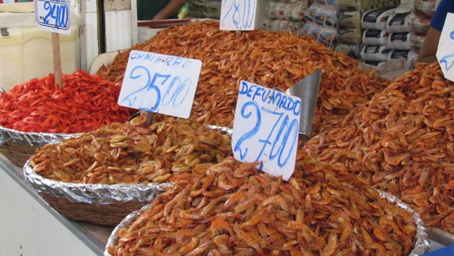 Seafood Market Salvador