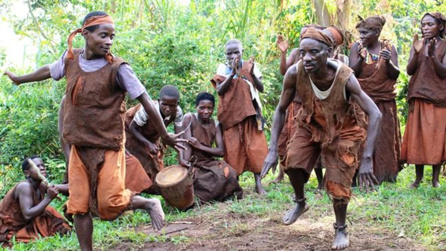 Batwa Cultural Encounters in Bwindi Forest National Park