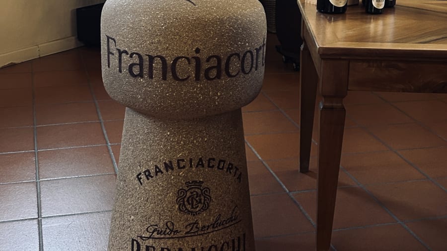 Wine Tasting & Winery Experience in Franciacorta