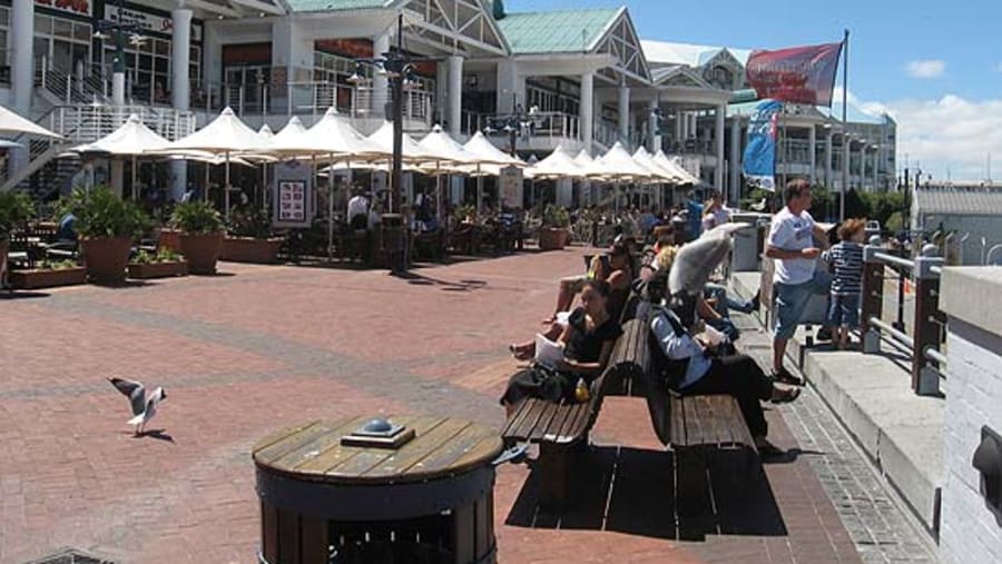 People relaxing along the coasts