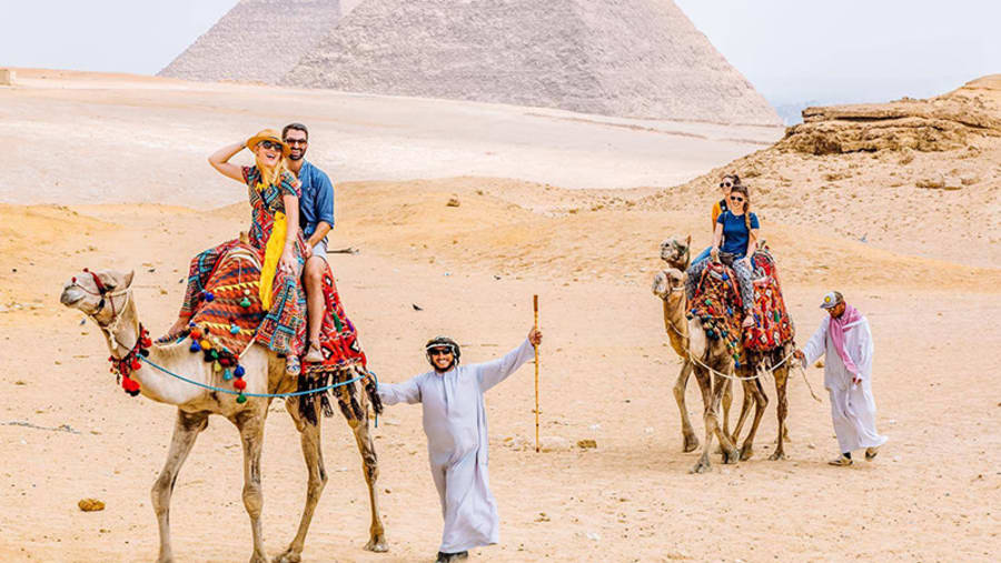 Camel Rides