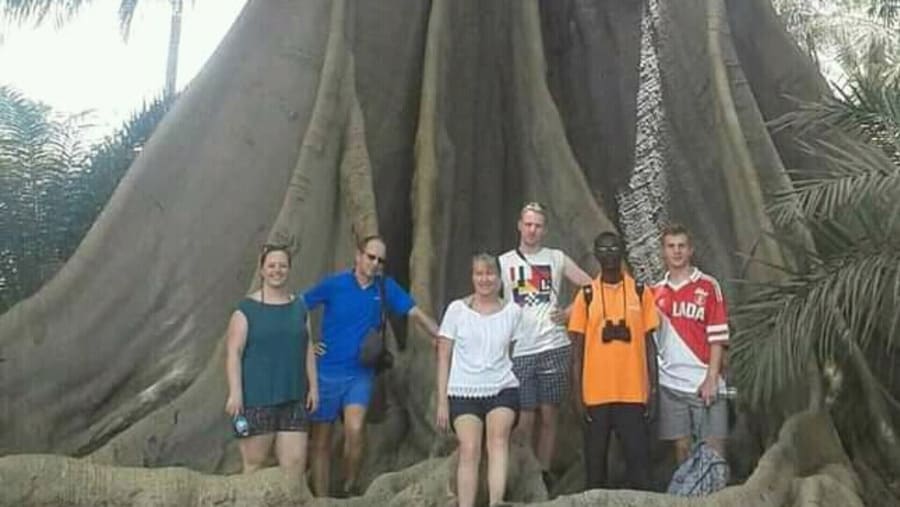 Silk cotton tree house
