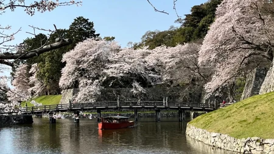Hikone Castle