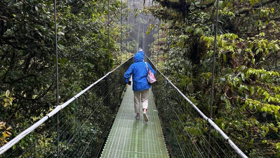 Monteverde Cloud Forest Biological Preserve