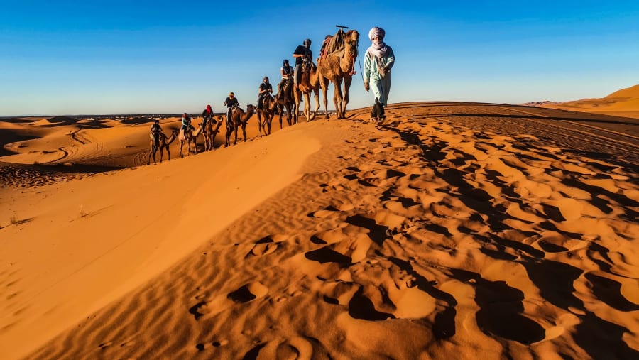 Camel ride