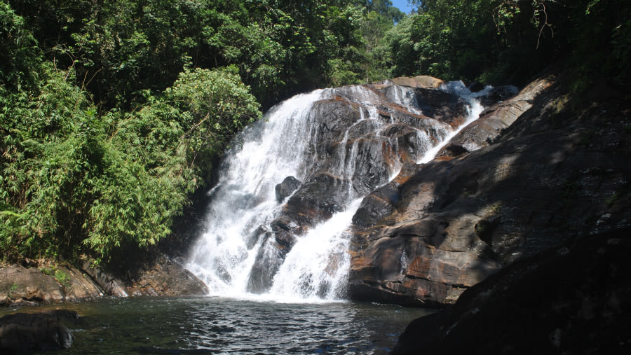 Sinharaja Forest Reserve