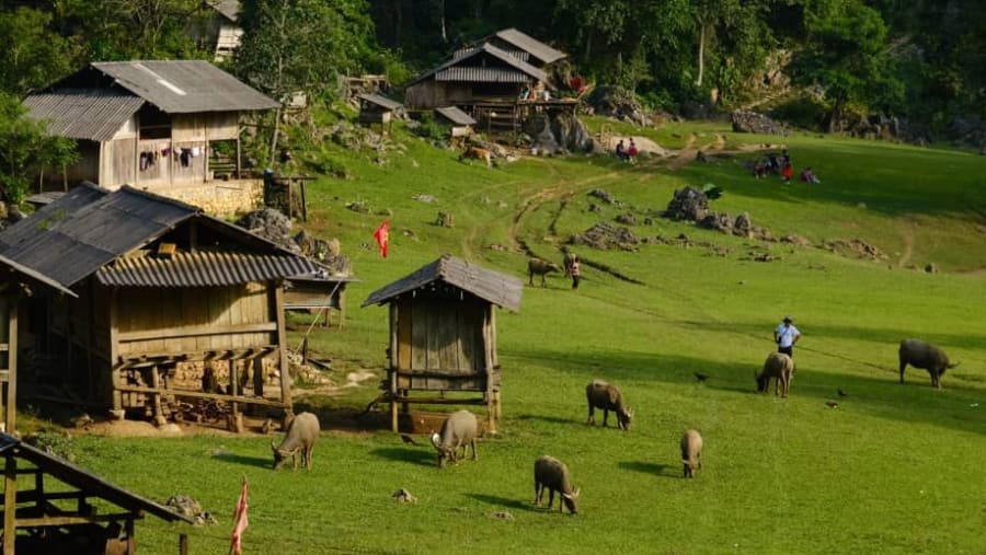 NORTHWEST VIETNAM
