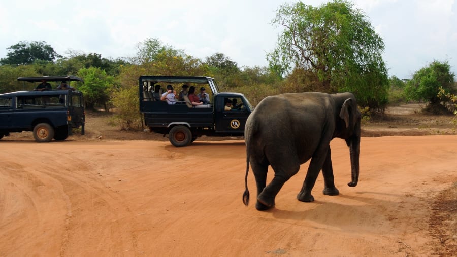 Yala National Park, Sri Lanka