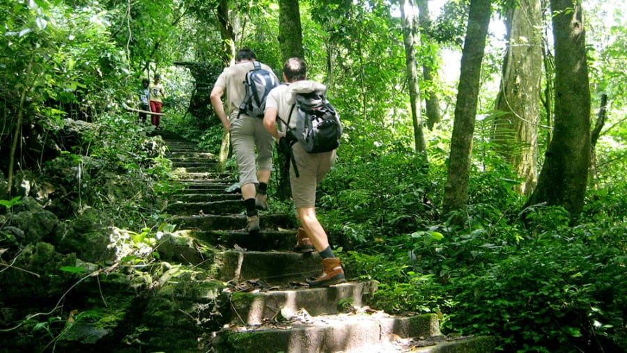 Trek through Cuc Phuong National park