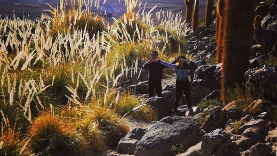 Cactus Valley