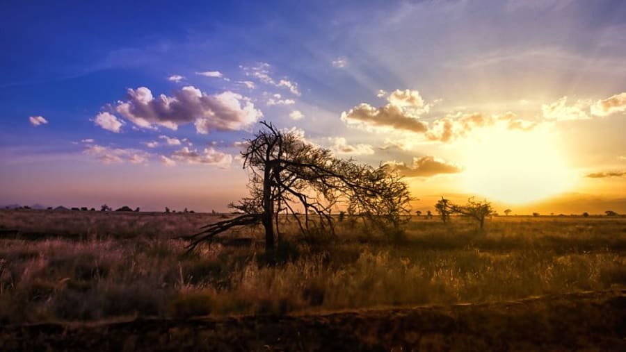 Sunrise View