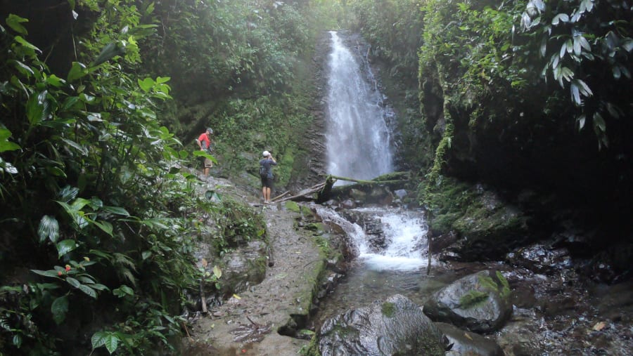 Explore the hidden gems of Mindo