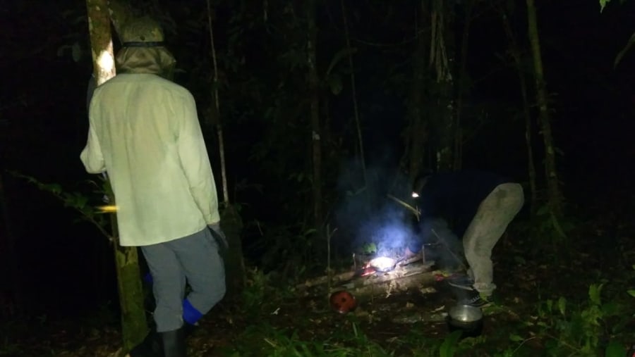 Nauta Jungle Tour