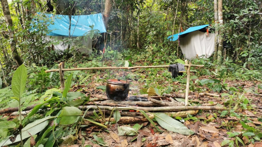 Nauta Jungle Tour