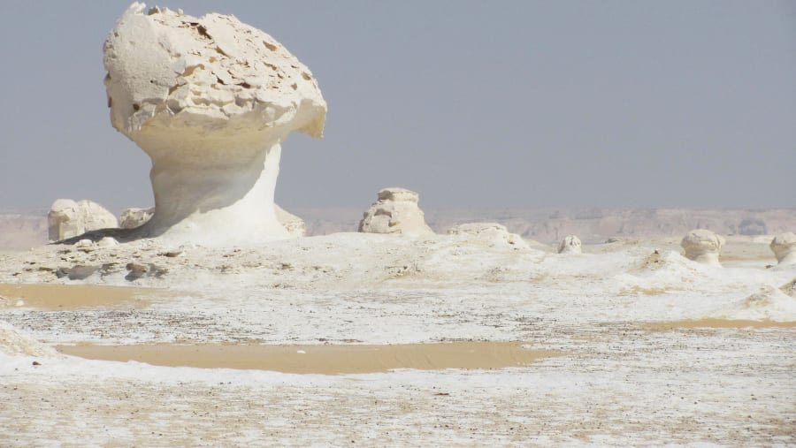 White desert