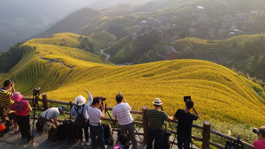Rice Terraces