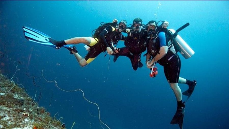 Snorkelling and Safari Blue Tour