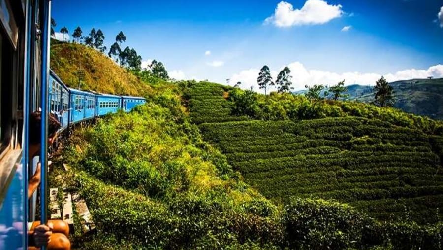Visit Nuwara Eliya