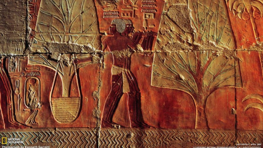 Hatshepsut Temple - Expedition to Punt