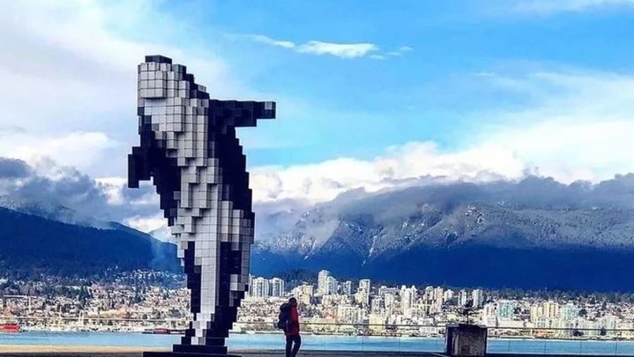 Digital Orca