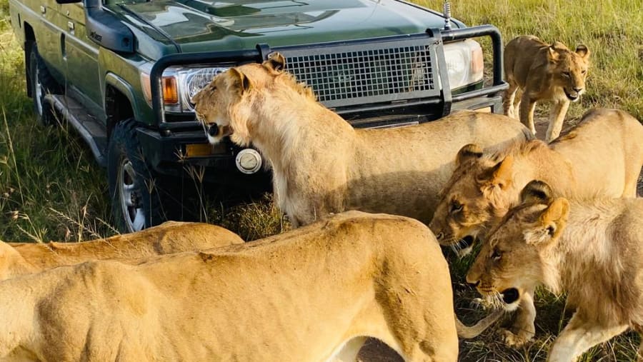 Maasai Mara National Reserve